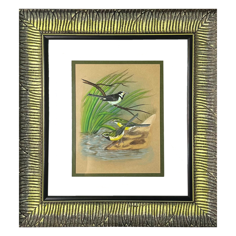 Wagtails by the Riverside | Indian Wildlife Miniature Art